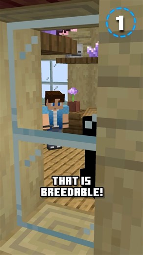 Guess THIS Minecraft Mob in 30 Seconds!