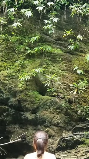 camping in the forest #reels | Nich Camping