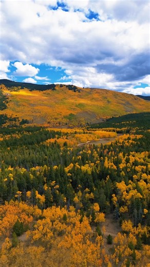 Kenosha Pass 9/30/25- 🥹💛 I was inspired by Stephanie Cantũ and Joshua Cantu ‘s beautiful fall content lately 🍂😍 and thank you Explore Park County for highlighting all the local businesses in Park County- stay tuned, I might have made a few stops 😉 #fallorado #leafpeeping #kenoshapass #kicolorado #parkcountycolorado #ExploreParkCounty | Kiley Howard