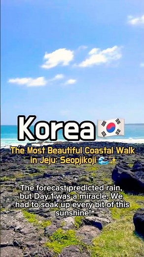 The Most Beautiful Coastal Walk in Jeju: Seopjikoji 🌊✨ #korea #jeju #travel #섭지코지 #제주도
