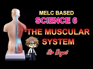 Science 6, Explain how the organs of each organ system work together / The Muscular System.