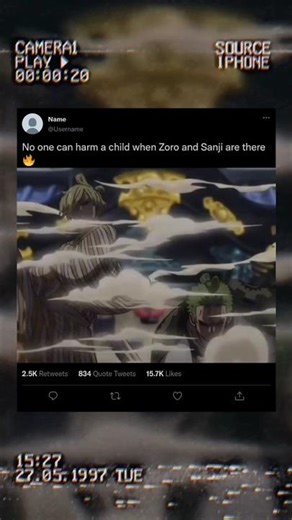 No one can harm a child when Zoro and Sanji are there🔥