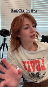 I currently have a fruit fly infestation… | Kallmekris