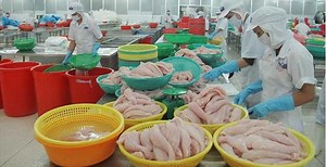 44% INCREASE IN VIETNAM'S SEAFOOD EXPORTS IN JANUARY