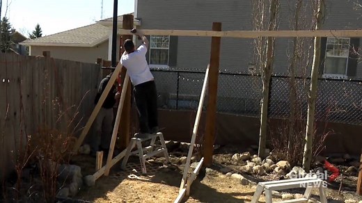 ‘It’s ridiculous’: skyrocketing lumber prices shock renovators