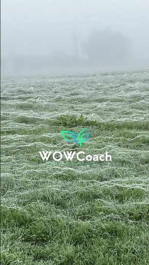 Wednesday Reflection | Finding Balance in Leadership and Life | WOWCoachNZ