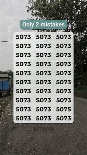 2.3K views · 60 reactions | Spot the 2 mistakes among the 5073s! 邏 | Spot Champ | Facebook