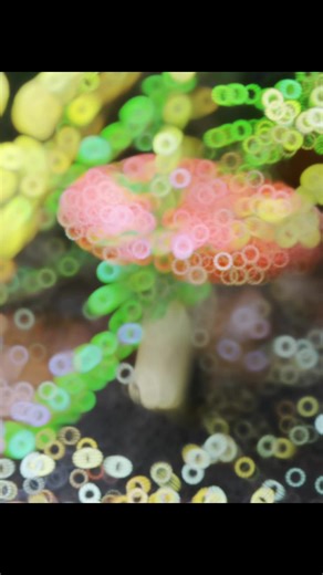 lifetastesara (@lifetastesara)’s videos with Natural Beauty - Ichill Music Factory