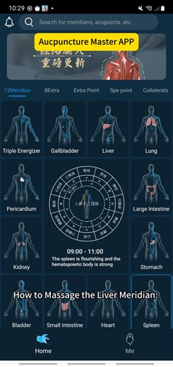 How to massage the liver meridian? This practice is particularly beneficial to: 1. Often feel irritable or mood swings. 2. Dry mouth or bitter taste 3. Dim or yellow skin color Method: Massage each leg 50-100 times in the selected direction. APPlication: Acupuncture Master App You can search for the APP name to download in Google Mall and Apple Mall. #LiverMeridian #TCM #TraditionalChineseMedicine #Acupressure #Meridians #LiverHealth #TCM #Acupressure #HolisticHealth #SelfCare | Acupuncture Mast