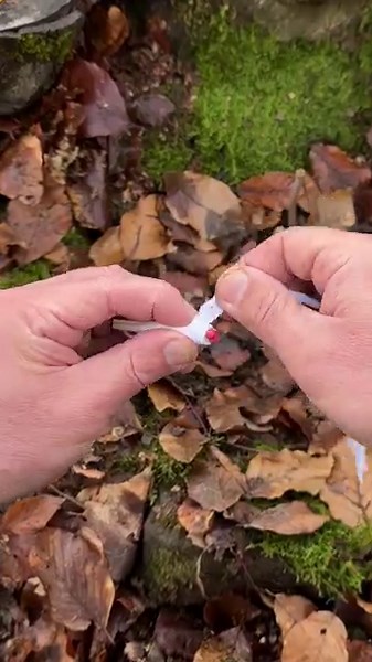 Survival Skills: Waterproof Fire Starter for Extreme Conditions. #survival #skills #camping | Sergio Outdoors