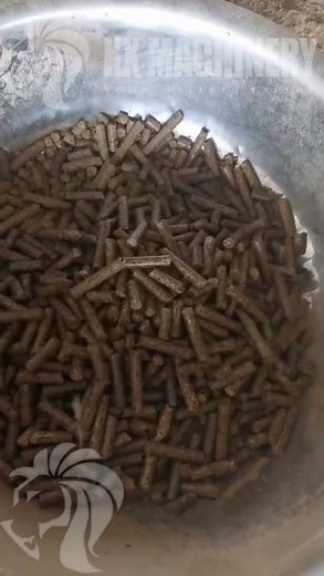 Transforming Coffee Husks into Valuable Biomass Pellets with a Flat Die Pellet Mill! #farming