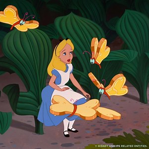 158K views · 2.2K reactions | You can learn a lot of things from the flowers, like how to spend a golden afternoon going ‘Behind the Seeds’ and more at Epcot® Flower & Garden Festival.  | Walt Disney World | Facebook