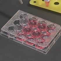 Video: Microscopy Based Methods for the Assessment of Epithelial Cell Migration During  In Vitro Wound Healing