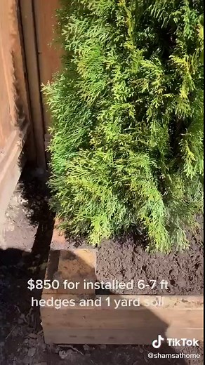 Samantha sharing on TikTok