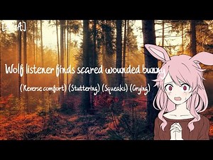 [A4A] Wolf listener finds scared wounded bunny (Reverse comfort) (Stuttering) (Squeaks) (Crying)
