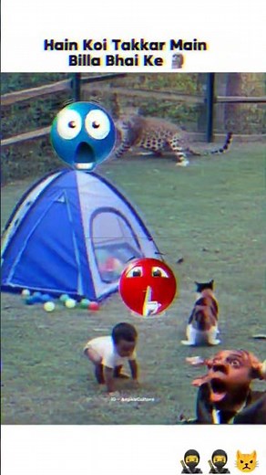 How a Meme Changed a Nation Forever