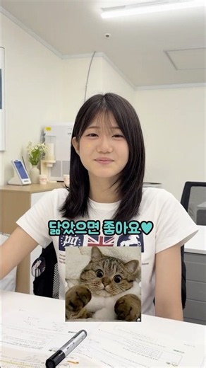 솔직히 하린이 이 고양이랑 닮지 않음?