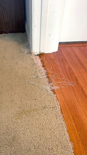 22K views · 488 reactions | Carpet guy tour | The Carpet Repair Guys | Facebook