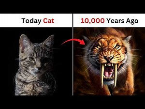 The "Story of life" on Earth... | Earth Part 3 | Info Family