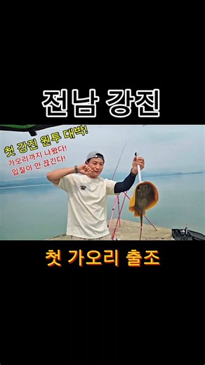 🔥 처음 간 강진에서 가오리가 나왔다! #원투낚시 #가오리