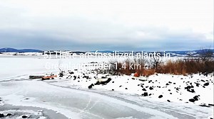 Top 10 interesting facts about nature! #1