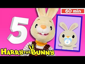 Baby Learning First Words w Harry the Bunny | Numbers, Prepositions + | Educational Videos for kids