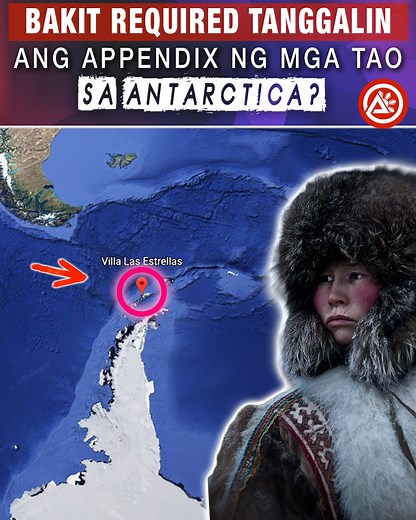 Isa sa dalawang tanging bayan sa Antarctica ay ang Villa Las Estrellas. Ang lugar na ito ay angkop tirhan ng tao ngunit yun nga lang may isang napakalaking requirement. Ang sinumang gustong tumira dito ay kailangan munang magpatanggal ng appendix bago tumira dito. Bakit kaya? May mala-saditang aktibidad ba dito o merong malalim na dahilan kung bakit nila ito ginagawa? Bukod diyan, bakit kaya dini-discourage ang pagbubuntis dito? At bakit bawal ang mga aso sa lugar na ito? Alamin sa vidyong ito! 
