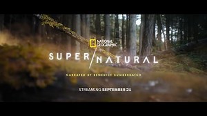 Supernatural Trailer EMMY Winner for Most Outstanding Promotional Announcement