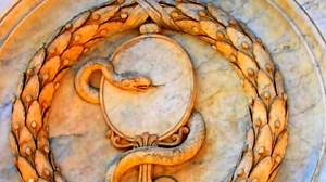 The Serpent Cult: Origins of Sacred Religion