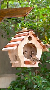 Build Your OWN Adorable Bird Feeder at Home! | Woodworking Tools