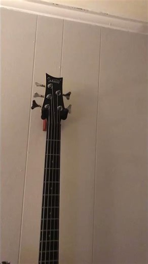 Five String Bass- string upgrade - easier on the fingers - inexpensive also