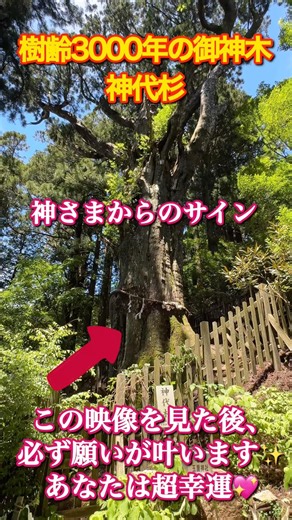 もし逃したら2度とないです！24時間後から良いことが次々と起きます！玉置神社 #パワースポット #遠隔参拝