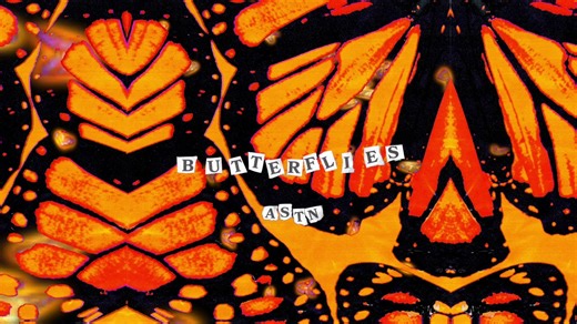 ASTN - Butterflies Lyrics