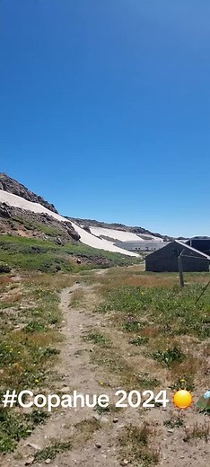 Claudia Cepeda on TikTok