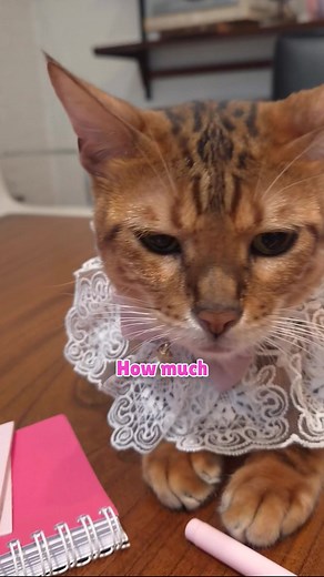 4.1K reactions · 59 shares |  Picky Eater? Don’t Let Weak Immunity...