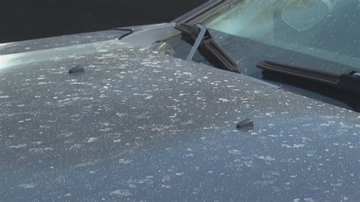 Piedmont Triad medical experts break down allergy tips amid pollen season: ‘Stay in your house’