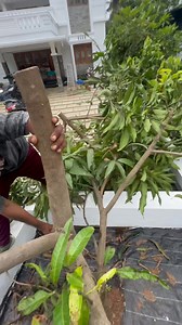 Rayan pets farm on Reels