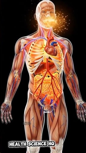 What Happens Inside Your Body When You Eat Chicken #chicken #muscle
