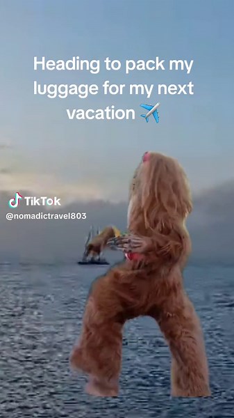 Funny Vacation Memes for Packing Inspiration