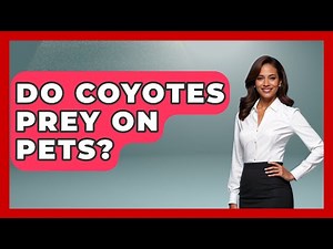 Do Coyotes Prey On Pets? - The Wild Life Explorer