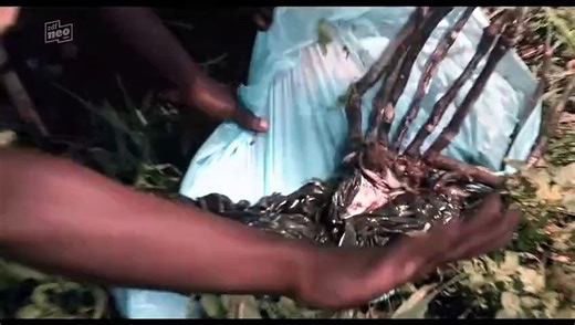 District-9 - FULL MOVIE