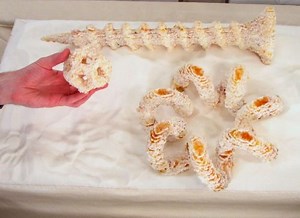 Homebrew 3D candy printer