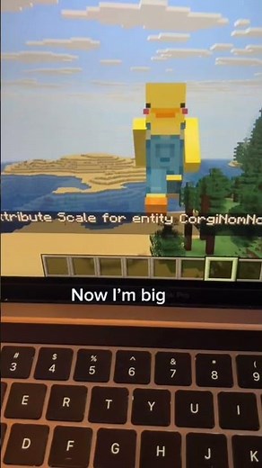 How to change your size in Minecraft 🤩🤩