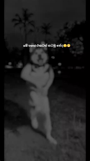 DARK -ANGEL: New Year Sticker Trend Video