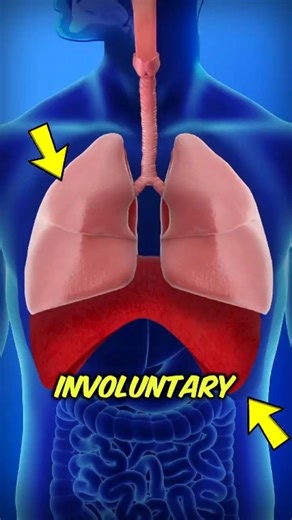 Where Do Hiccups Come From? The Surprising Reason Behind the “Hic” #viral