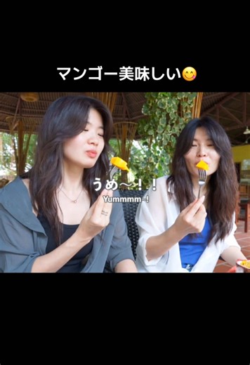 ベトナム旅行で堪能する南国のフルーツ