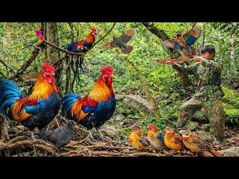 145 Days of Solo Survival: Dangerous Night Hunts, Wild Animal Traps & Attacks