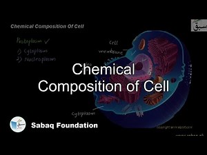 Chemical Components of a Cell, Biology Lecture | Sabaq.pk