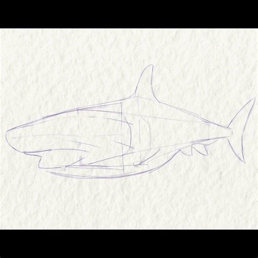 I Draw a Shark Using Only Simple Shapes