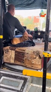 Ukrainians and their dogs | In Ukraine